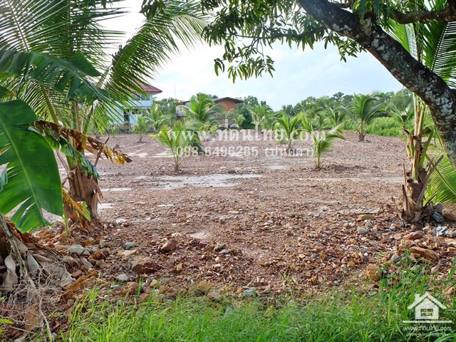 ที่ดินแบ่งล๊อกเสม็ดงาม-โฉนด-135-319ตรว-ตหนองบัว-อเมือง-จจันทบุรี-รหัส-l340