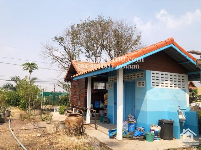 ขายที่ดินมหาโพธิ-ขายที่ดินสระโบสถ์-ขายสวนลพบุรี-2ไร่-โฉนด-ตมหาโพธิ-อสระโบสถ์-จลพบุรี-รหัส-l341