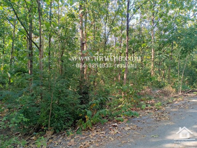 ขายที่ดินห้วยโป่ง-ขายที่ดินโคกสำโรง-ขายที่ดินลพบุรี-1ไร่-โฉนด-ตห้วยโป่ง-อโคกสำโรง-จลพบุรี-รหั