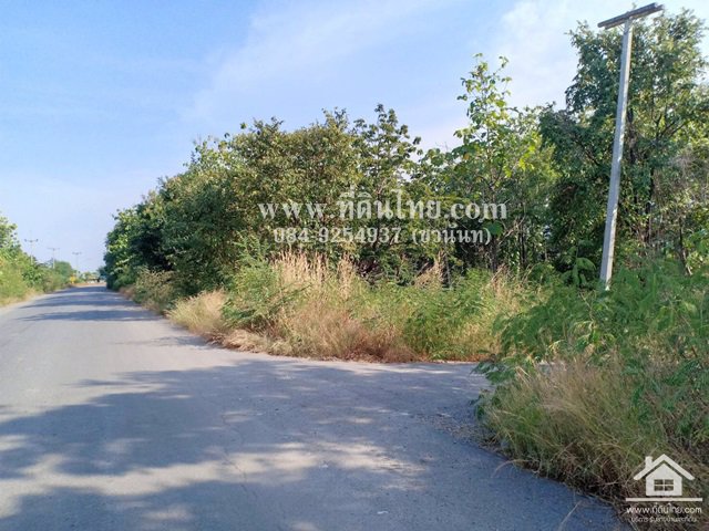 ขายที่ดินห้วยโป่ง-ขายที่ดินโคกสำโรง-ขายที่ดินลพบุรี-1ไร่-โฉนด-ตห้วยโป่ง-อโคกสำโรง-จลพบุรี-รหั