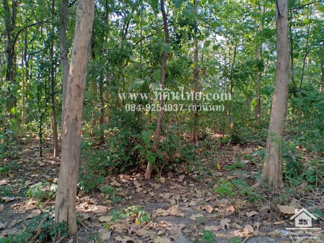 ขายที่ดินห้วยโป่ง-ขายที่ดินโคกสำโรง-ขายที่ดินลพบุรี-1ไร่-โฉนด-ตห้วยโป่ง-อโคกสำโรง-จลพบุรี-รหั