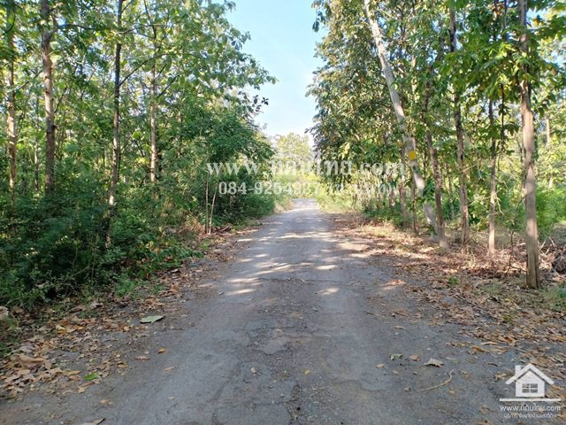 ขายที่ดินห้วยโป่ง-ขายที่ดินโคกสำโรง-ขายที่ดินลพบุรี-1ไร่-โฉนด-ตห้วยโป่ง-อโคกสำโรง-จลพบุรี-รหั