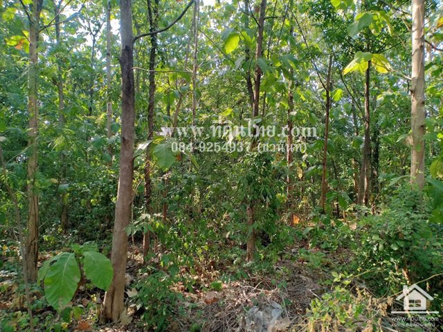 ขายที่ดินห้วยโป่ง-ขายที่ดินโคกสำโรง-ขายที่ดินลพบุรี-1ไร่-โฉนด-ตห้วยโป่ง-อโคกสำโรง-จลพบุรี-รหั