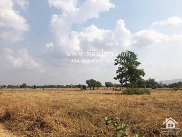 ขายที่ดินโคกสำโรง-ขายที่ดินคลองเกตุ-15-ไร่-3-งาน-77-ตรว-ตคลองเกตุ-อโคกสำโรง-จลพบุรี-รหัส-l344