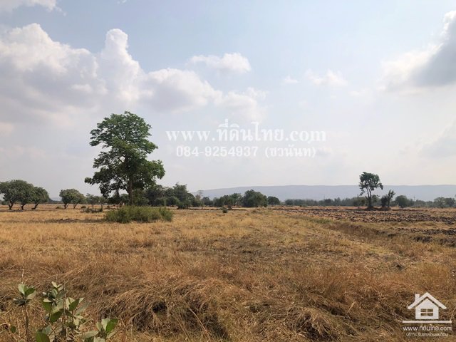 ขายที่ดินโคกสำโรง-ขายที่ดินคลองเกตุ-15-ไร่-3-งาน-77-ตรว-ตคลองเกตุ-อโคกสำโรง-จลพบุรี-รหัส-l344