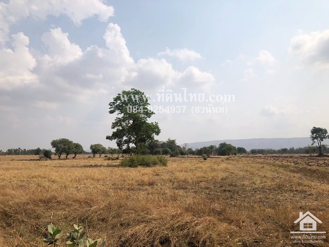 ขายที่ดินโคกสำโรง-ขายที่ดินคลองเกตุ-15-ไร่-3-งาน-77-ตรว-ตคลองเกตุ-อโคกสำโรง-จลพบุรี-รหัส-l344