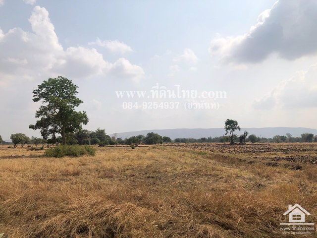 ขายที่ดินโคกสำโรง-ขายที่ดินคลองเกตุ-15-ไร่-3-งาน-77-ตรว-ตคลองเกตุ-อโคกสำโรง-จลพบุรี-รหัส-l344