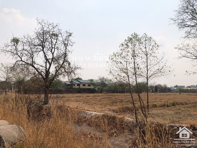 ขายที่ดินหมาโพธิ-ขายที่ดินสระโบสถ์-ขายที่ดินลพบุรี-4ไร่-โฉนด-ตมหาโพธิ-อสระโบสถ์-จลพบุรี-รหัส-l345