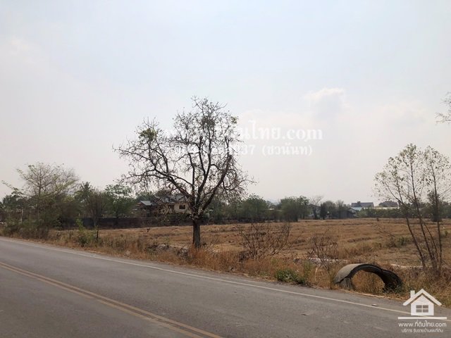 ขายที่ดินหมาโพธิ-ขายที่ดินสระโบสถ์-ขายที่ดินลพบุรี-4ไร่-โฉนด-ตมหาโพธิ-อสระโบสถ์-จลพบุรี-รหัส-l345