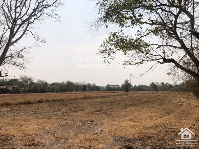 ขายที่ดินหมาโพธิ-ขายที่ดินสระโบสถ์-ขายที่ดินลพบุรี-4ไร่-โฉนด-ตมหาโพธิ-อสระโบสถ์-จลพบุรี-รหัส-l345