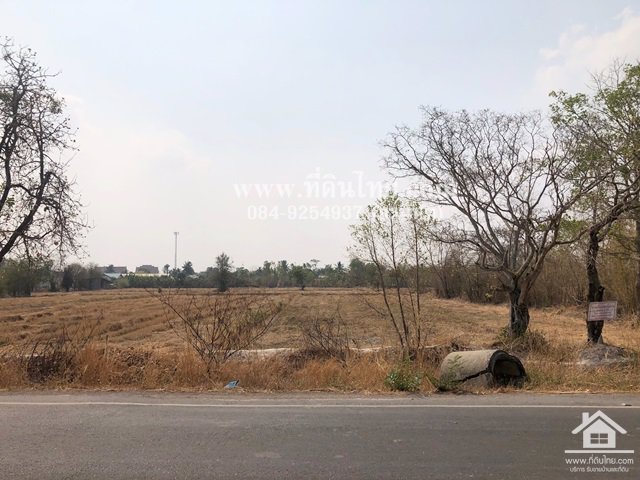 ขายที่ดินหมาโพธิ-ขายที่ดินสระโบสถ์-ขายที่ดินลพบุรี-4ไร่-โฉนด-ตมหาโพธิ-อสระโบสถ์-จลพบุรี-รหัส-l345