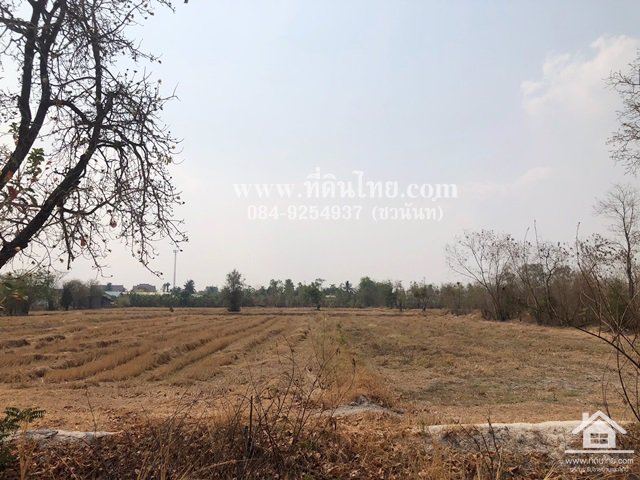 ขายที่ดินหมาโพธิ-ขายที่ดินสระโบสถ์-ขายที่ดินลพบุรี-4ไร่-โฉนด-ตมหาโพธิ-อสระโบสถ์-จลพบุรี-รหัส-l345