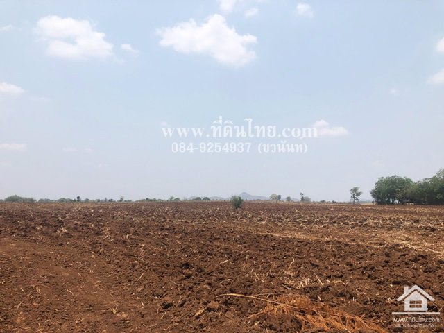 ขายที่ดินหนองม่วง-ขายที่ดินชอนสารเดช-16ไร่-1งาน-เศษ-นส3ก-ตชอนสารเดช-อหนองม่วง-จลพบุรี-รหัส-l346