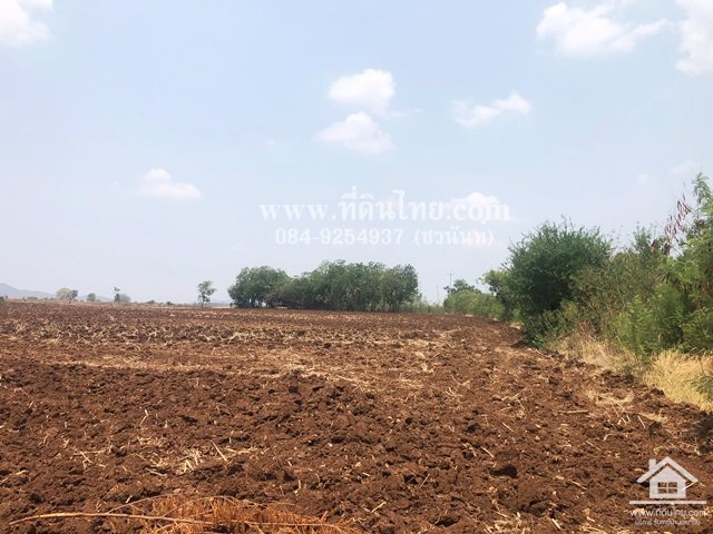 ขายที่ดินหนองม่วง-ขายที่ดินชอนสารเดช-16ไร่-1งาน-เศษ-นส3ก-ตชอนสารเดช-อหนองม่วง-จลพบุรี-รหัส-l346