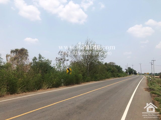 ขายที่ดินหนองม่วง-ขายที่ดินชอนสารเดช-16ไร่-1งาน-เศษ-นส3ก-ตชอนสารเดช-อหนองม่วง-จลพบุรี-รหัส-l349