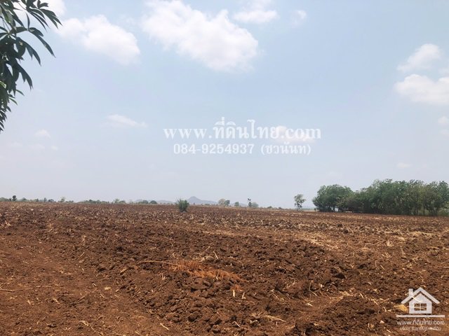 ขายที่ดินหนองม่วง-ขายที่ดินชอนสารเดช-16ไร่-1งาน-เศษ-นส3ก-ตชอนสารเดช-อหนองม่วง-จลพบุรี-รหัส-l349