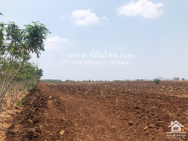 ขายที่ดินหนองม่วง-ขายที่ดินชอนสารเดช-16ไร่-1งาน-เศษ-นส3ก-ตชอนสารเดช-อหนองม่วง-จลพบุรี-รหัส-l349