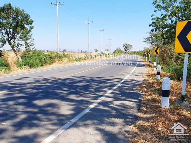 ขายที่ดินหนองม่วง-ขายที่ดินชอนสารเดช-16ไร่-1งาน-เศษ-นส3ก-ตชอนสารเดช-อหนองม่วง-จลพบุรี-รหัส-l349