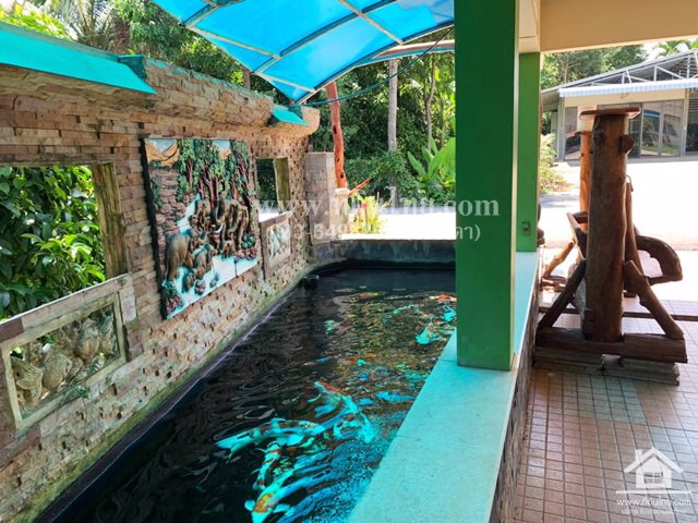 ขายบ้านเดี่ยวใกล้สุขุมวิท-โฉนด-78ตรว-ตพลับพลา-อเมือง-จจันทบุรี-รหัส-h64