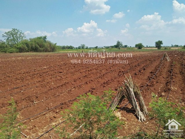 ขายที่ดินหนองม่วง-ขายที่ดินชอนสาร-13ไร่-2งาน-53ตรวโฉนด-ตชอนสารเดช-อหนองม่วง-จลพบุรี-รหัส-l350