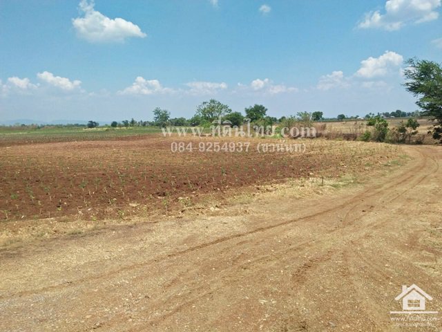 ขายที่ดินหนองม่วง-ขายที่ดินชอนสาร-13ไร่-2งาน-53ตรวโฉนด-ตชอนสารเดช-อหนองม่วง-จลพบุรี-รหัส-l350