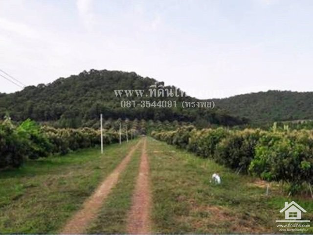 ขายที่ดินติดถนน317-ทับช้าง-สอยดาวจันทบุรี-โฉนด-20-2-12ไร่-ตทับช้าง-อสอยดาว-จจันทบุรี-รหัส-l352