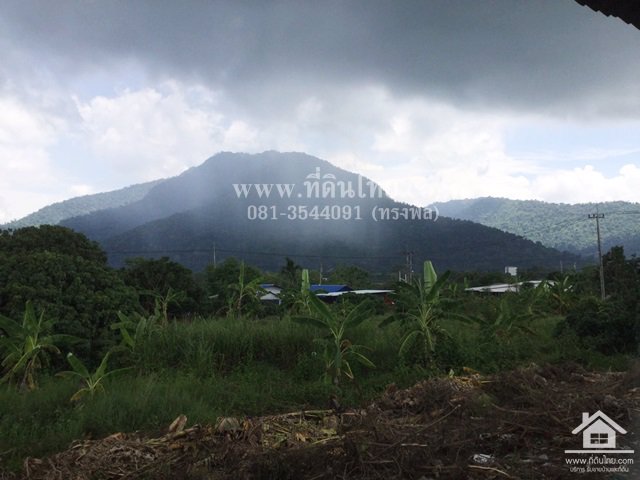 ขายที่ดินติดถนน317-ทับช้าง-สอยดาวจันทบุรี-โฉนด-20-2-12ไร่-ตทับช้าง-อสอยดาว-จจันทบุรี-รหัส-l352