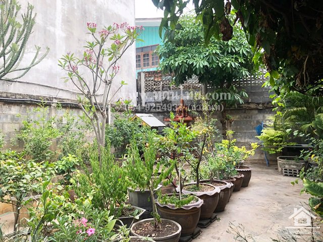 ขายอาคารพาณิชย์หนองม่วง-ขายอาคารพาณิชย์ลพบุรี-77ตรว-โฉนด-ตหนองม่วง-อหนองม่วง-จลพบุรี-รหัส-h65