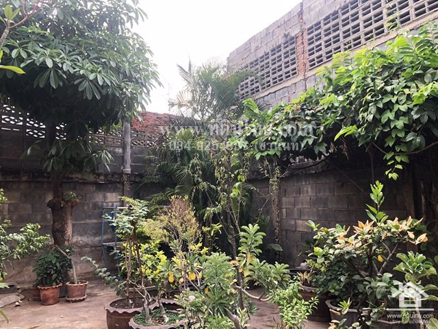 ขายอาคารพาณิชย์หนองม่วง-ขายอาคารพาณิชย์ลพบุรี-77ตรว-โฉนด-ตหนองม่วง-อหนองม่วง-จลพบุรี-รหัส-h65