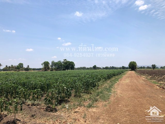ขายที่ดินโคกเจริญ-ขายที่ดินโคกแสมสาร-16ไร่-1งาน-73ตรว-โฉนด-ตโคกแสมสาร-อโคกเจริญ-จลพบุรี-รหัส-l35