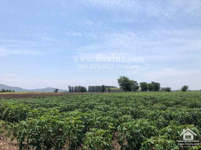 ขายที่ดินโคกเจริญ-ขายที่ดินโคกแสมสาร-16ไร่-1งาน-73ตรว-โฉนด-ตโคกแสมสาร-อโคกเจริญ-จลพบุรี-รหัส-l35