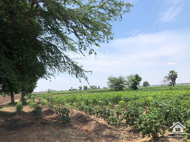 ขายที่ดินโคกเจริญ-ขายที่ดินโคกแสมสาร-16ไร่-1งาน-73ตรว-โฉนด-ตโคกแสมสาร-อโคกเจริญ-จลพบุรี-รหัส-l35