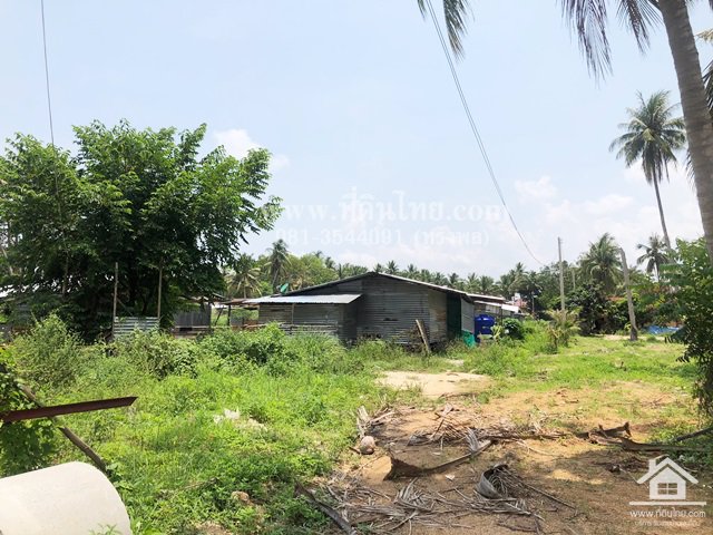 ขายที่ดินบางละมุง-ขายที่ดินชลบุรี-5ไร่-1งาน-85ตรว-โฉนด-ตตะเคียนเตี้ย-อบางละมุง-จชลบุรี-รหัส-l354