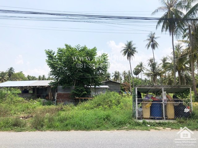 ขายที่ดินบางละมุง-ขายที่ดินชลบุรี-5ไร่-1งาน-85ตรว-โฉนด-ตตะเคียนเตี้ย-อบางละมุง-จชลบุรี-รหัส-l354