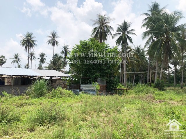 ขายที่ดินบางละมุง-ขายที่ดินชลบุรี-5ไร่-1งาน-85ตรว-โฉนด-ตตะเคียนเตี้ย-อบางละมุง-จชลบุรี-รหัส-l354