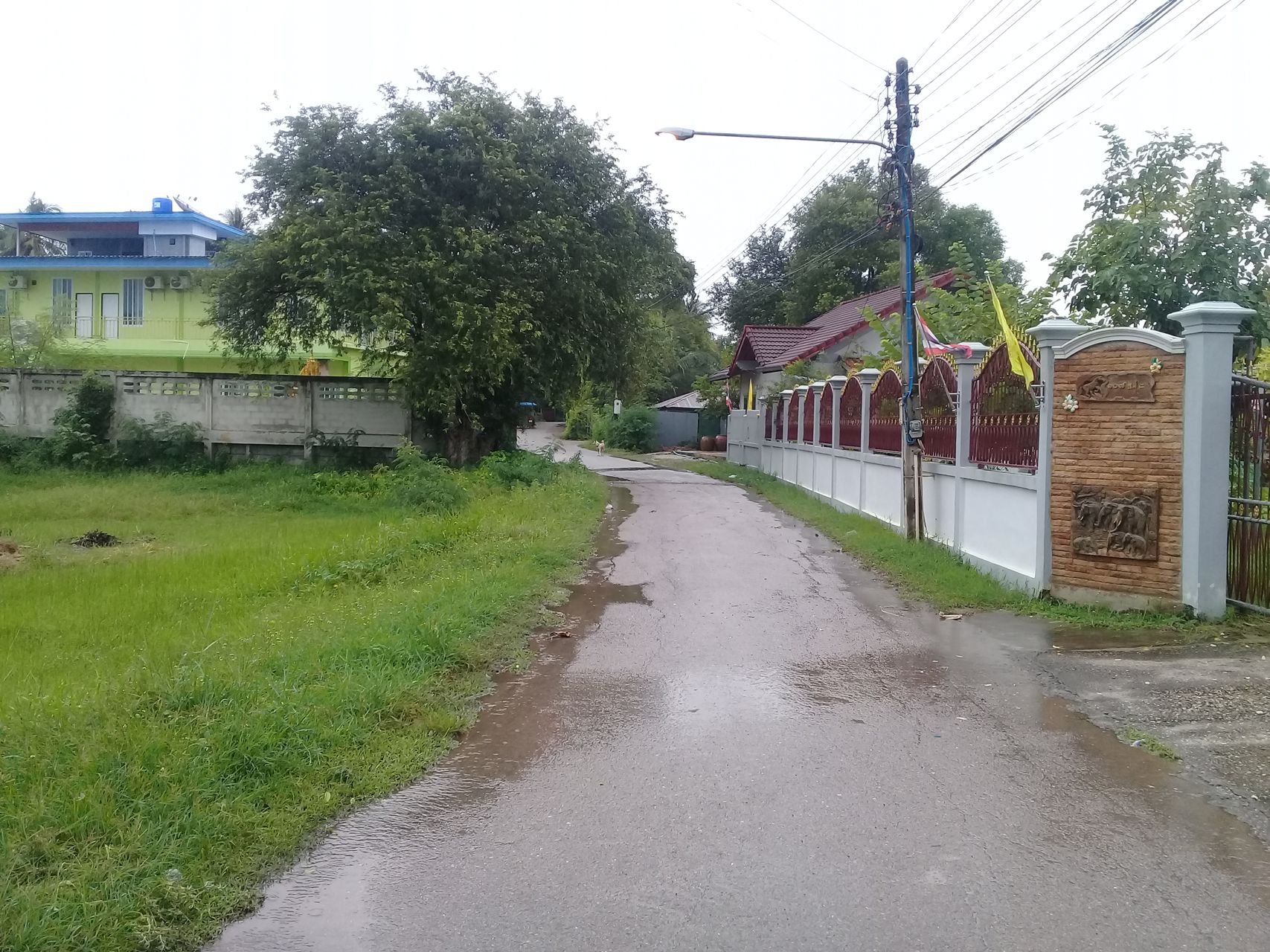 ขายที่ดิน-4ไร่-1งาน-485-ตรว-ใกล้ตัวเมือง-ติดถนนและโรงพยาบาลตำบลเกาะพลับพลา-อเมือง-จราชบุรี