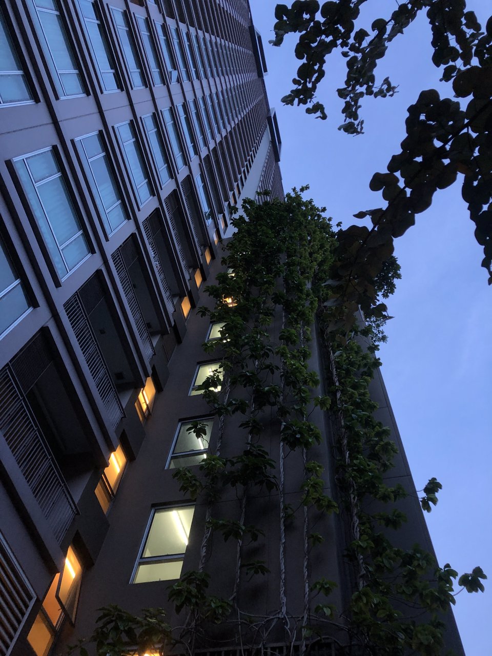 ขายคอนโด-ทรู-ทองหล่อ