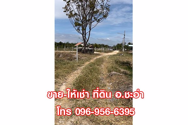 ขาย-ให้เช่า-ที่ดินเปล่า-3-ไร่-ชะอำ-หัวหิน-เพชรบุรี-ทำเลดี-มีถนนเข้าออก