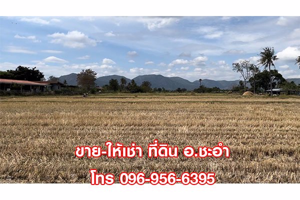 ขาย-ให้เช่า-ที่ดินเปล่า-3-ไร่-ชะอำ-หัวหิน-เพชรบุรี-ทำเลดี-มีถนนเข้าออก