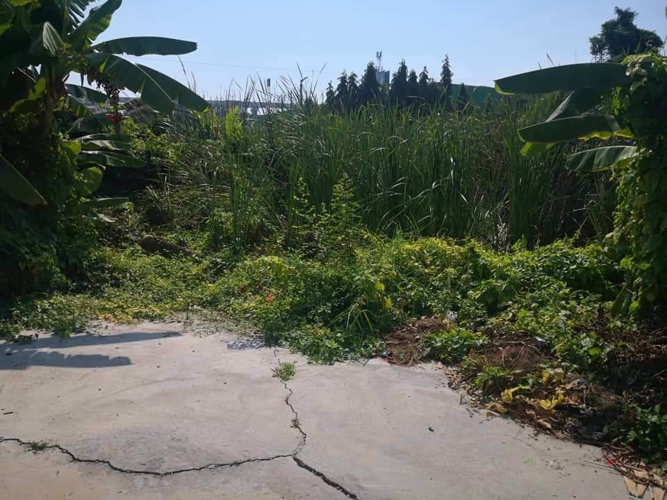 lmpt007-ที่ดินว่างเปล่า-ด้านหน้าติดถนนซอยลาซาล-52-แยก-1-ถนนสุขุมวิท105