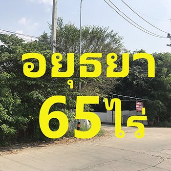 ขายที่ดิน-65ไร่-ทำเลดีมาก-ตบ้านกรด-อบางปะอิน-จอยุธยา