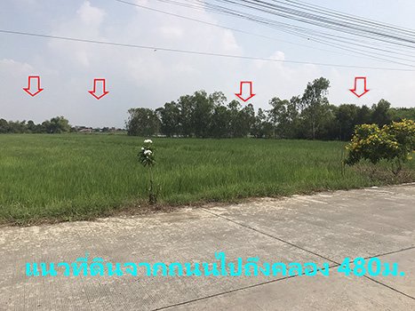 ขายที่ดิน-65ไร่-ทำเลดีมาก-ตบ้านกรด-อบางปะอิน-จอยุธยา