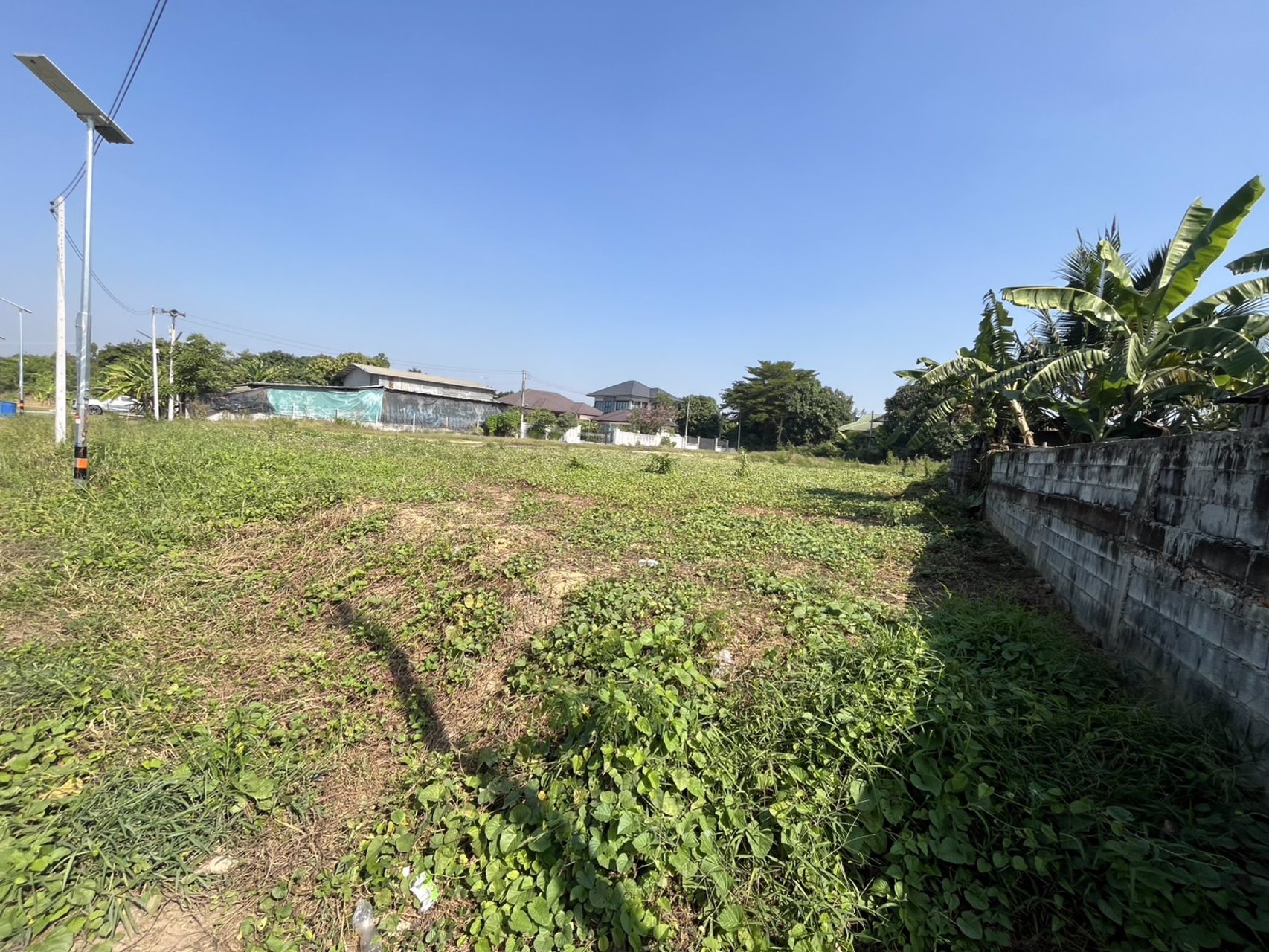 ท่านใดกำลังมองหาที่ดินถมแล้ว-เพื่อปลูกบ้าน-แบบธรรมชาติ-ที่สวย-ทำเลดี-ฮวงจุ้ยดี