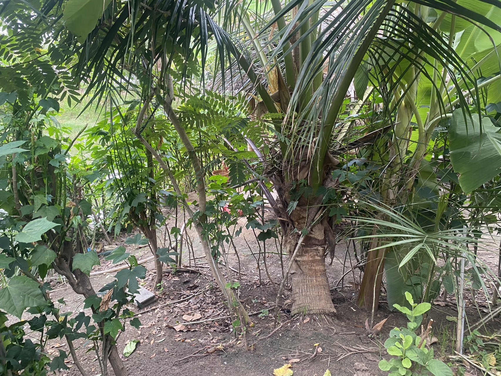 ขายบ้านเดี่ยว2-หลัง