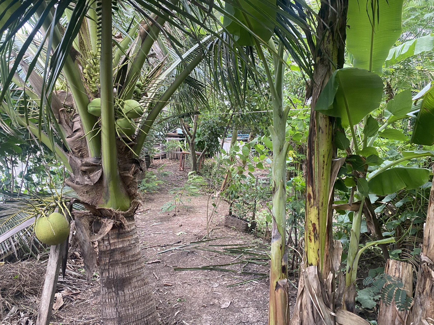 ขายบ้านเดี่ยว2-หลัง