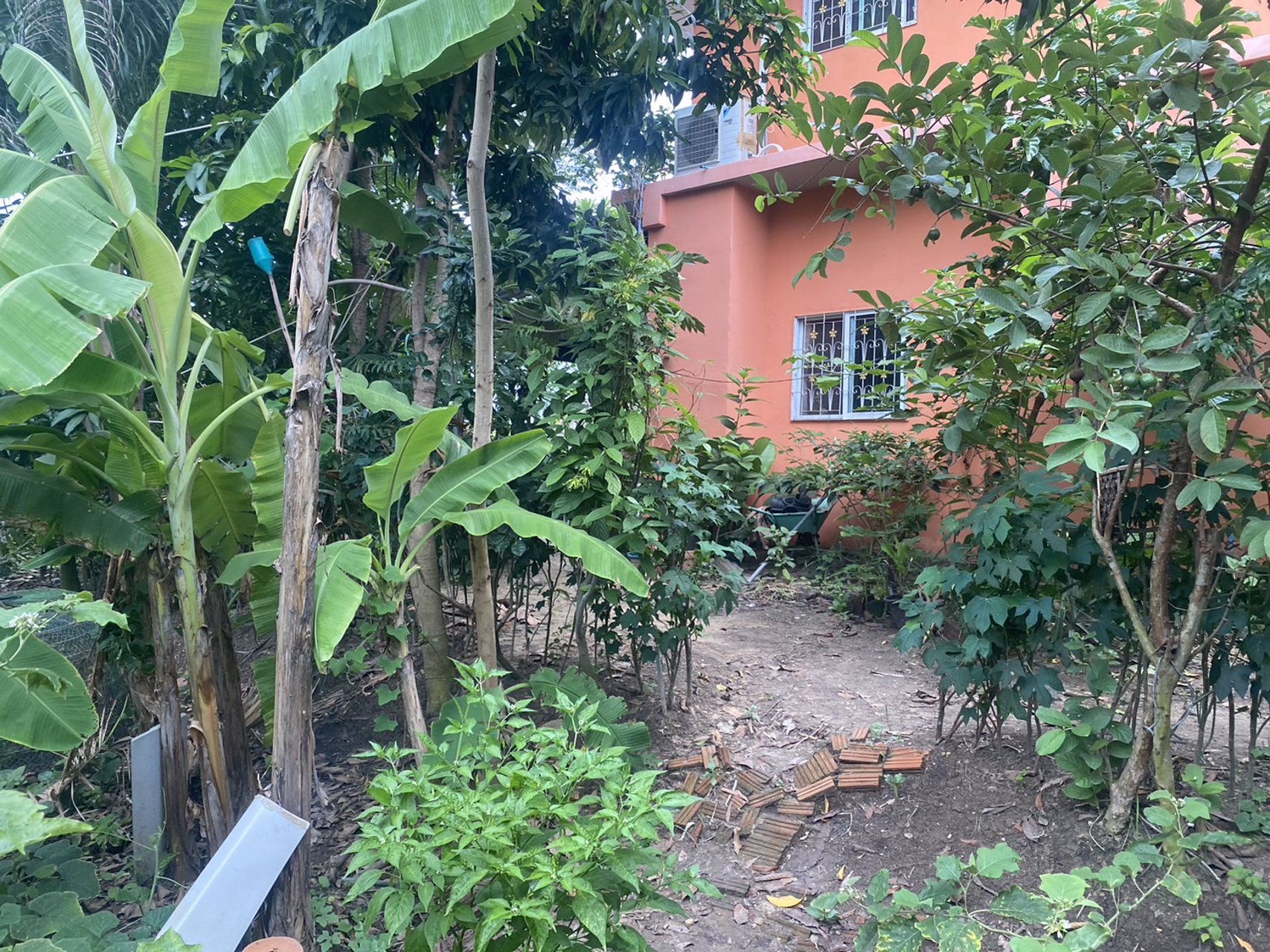 ขายบ้านเดี่ยว2-หลัง