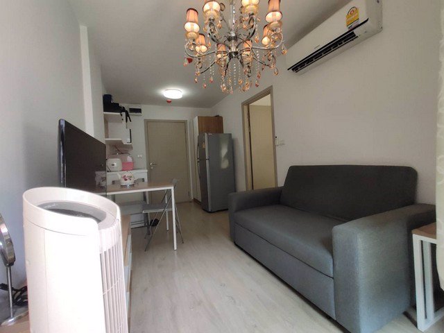 ขายด่วน-18-ล้าน-คอนโด-เอลลิโอ-สุขุมวิท-64-ใกล้รถไฟฟ้า-bts-ปุณณวิถี