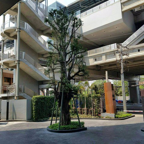 ให้เช่า-11000-คอนโด-บริกซ์-คอนโด-จรัญสนิทวงศ์-64-ใกล้รถไฟฟ้าสิรินธร