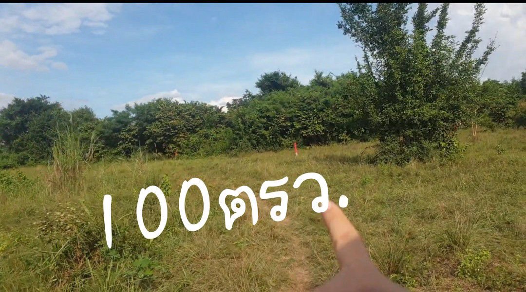 ขายที่100ตรว-สัตหีบ-เตาถ่าน-850000