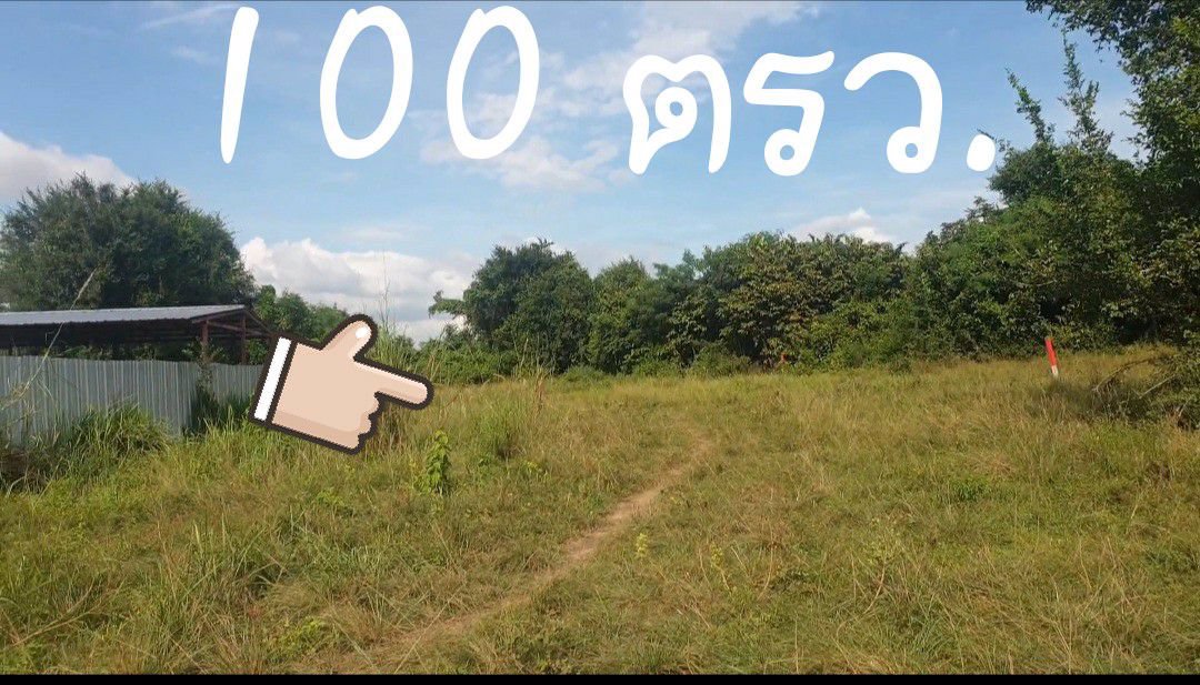 ขายที่100ตรว-สัตหีบ-เตาถ่าน-850000